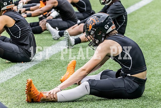 Aledo vs. North Forney